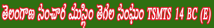 spot_img